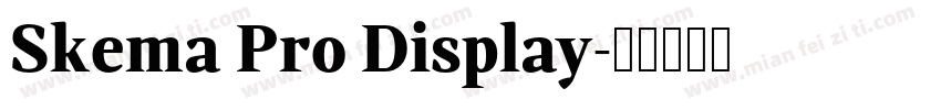 Skema Pro Display字体转换